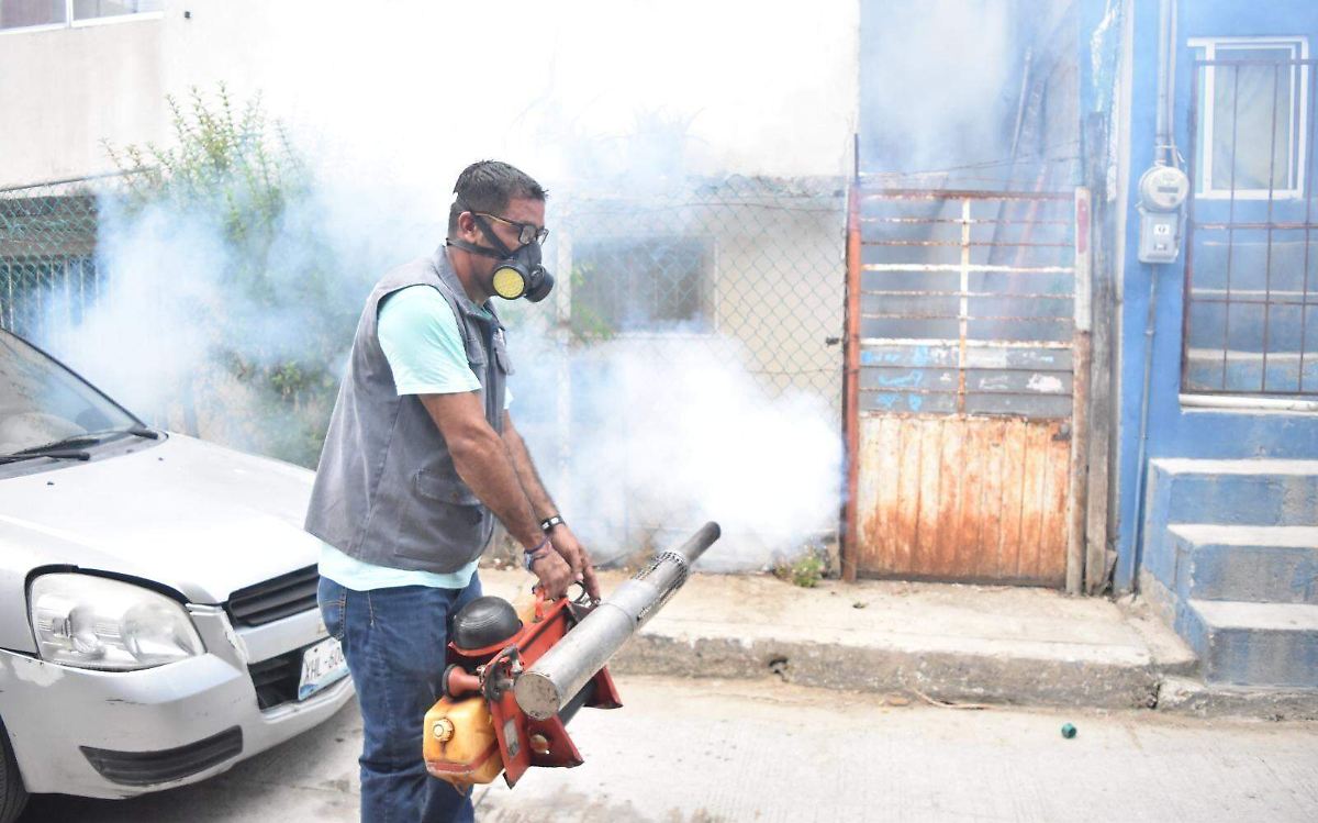 Dengue en Tamaulipas; casos aumentan y mujeres las que más enferman 